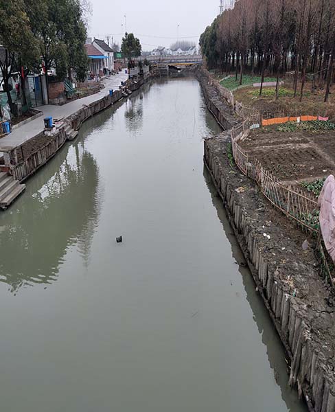 江苏河道木桩