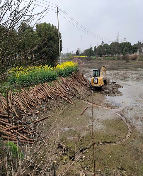 江苏河道木桩