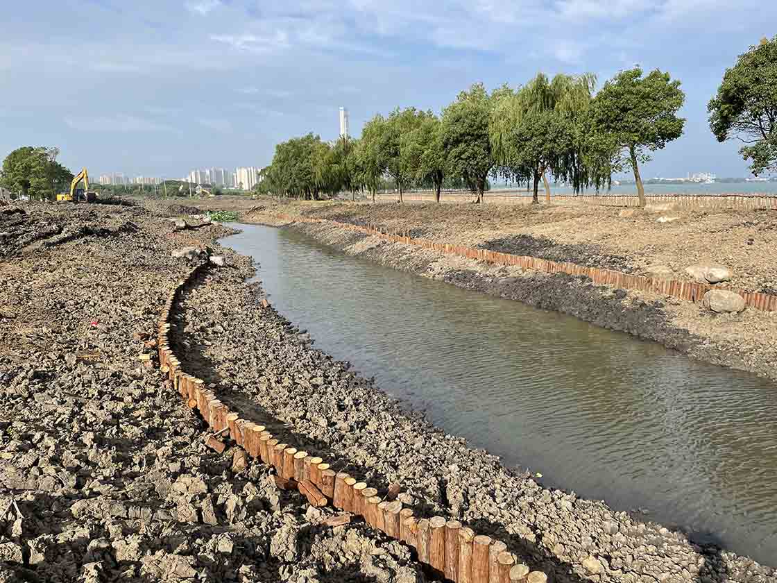 江苏吴江区水系连通及农村水系综合整治试点县 2021 年度工程（一期）设计施工一体化项目