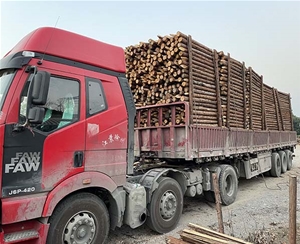 江苏杉木桩装车...