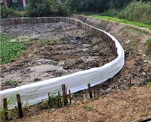 江苏河道木桩