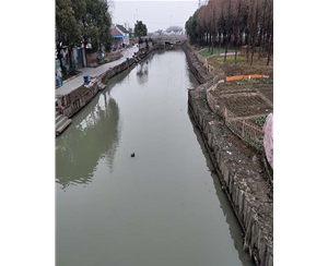 江苏河道木桩