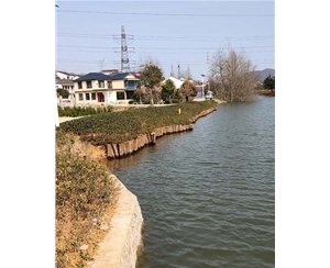 江苏河道木桩