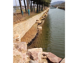 江苏江苏河道木桩