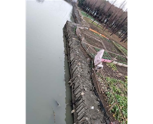 江苏江苏河道木桩