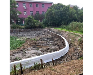 江苏芜湖市湾沚...